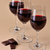 wine and chocolate tasting kit and gift